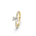 TZM4-SBG4