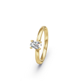 ZQYI-KR9M